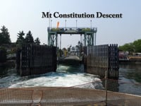 Mt Constitution 2017 