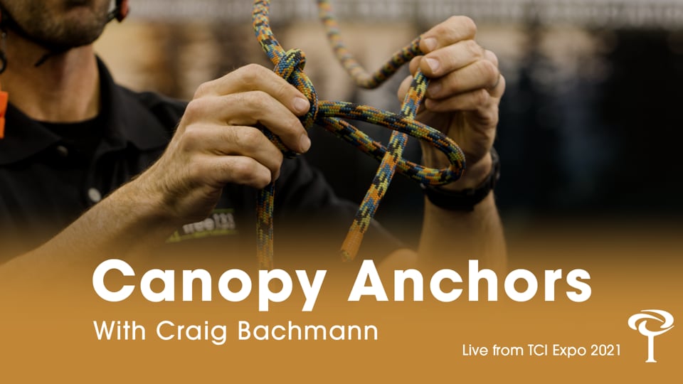 Canopy anchors, a TCIA video by Waves Media