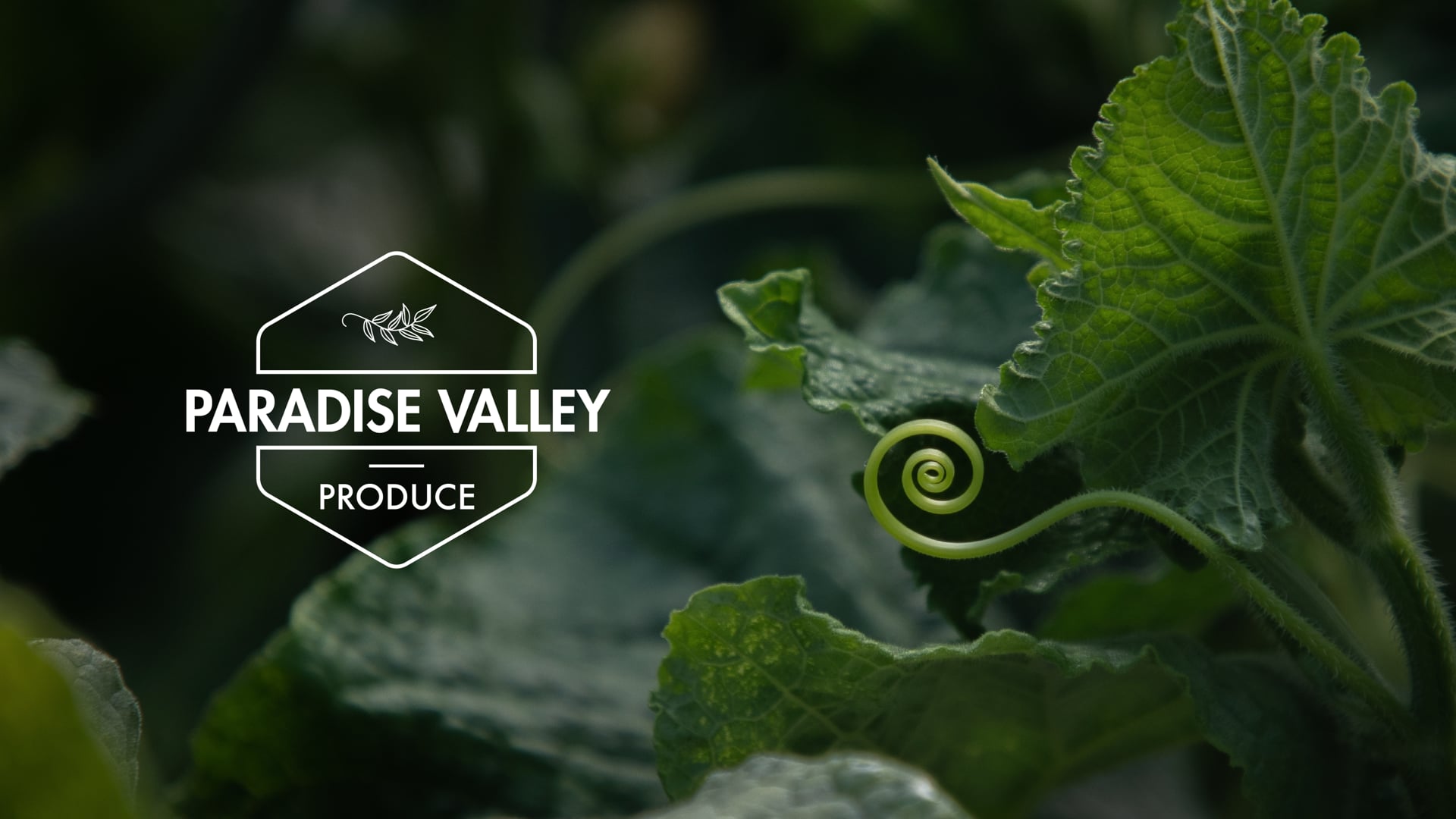 PARADISE VALLEY PRODUCE - Sustainable Farming