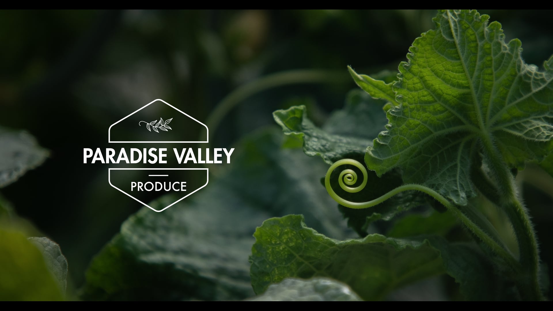 PARADISE VALLEY PRODUCE - Sustainable Farming