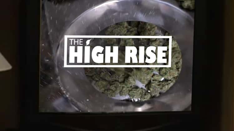 High Rise Cannabis Agency: 2021 Recap on Vimeo