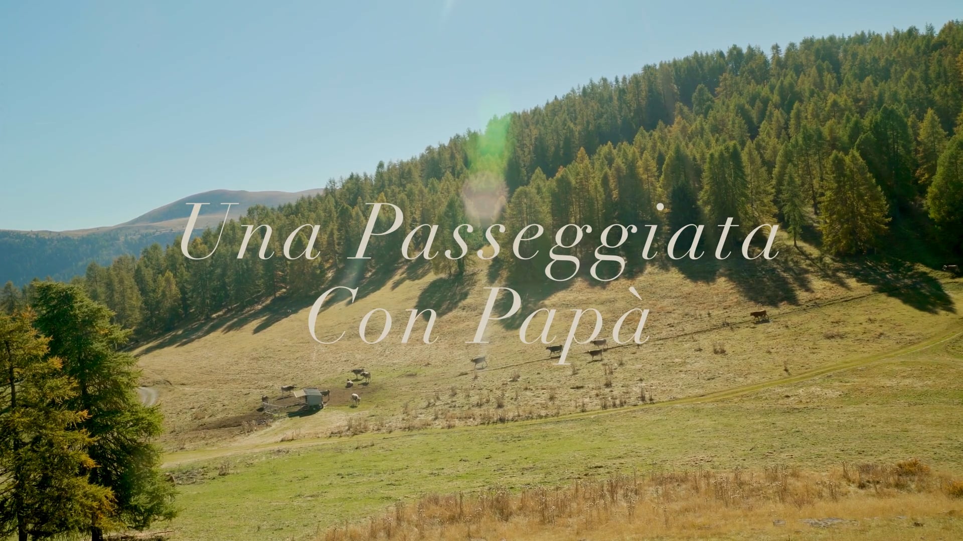 Una Passeggiata Con Papà