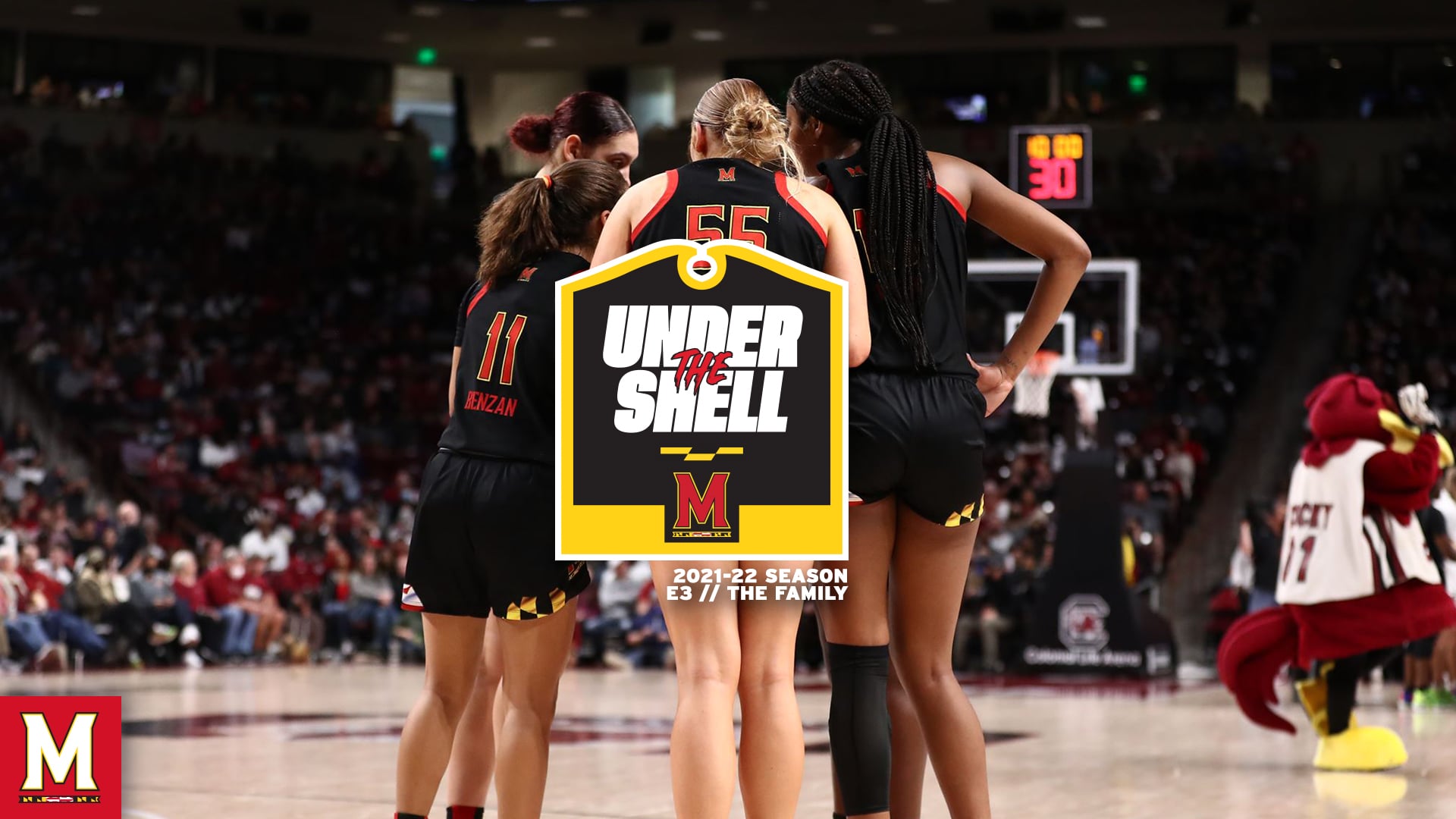 Under The Shell Episode 3 // The Family