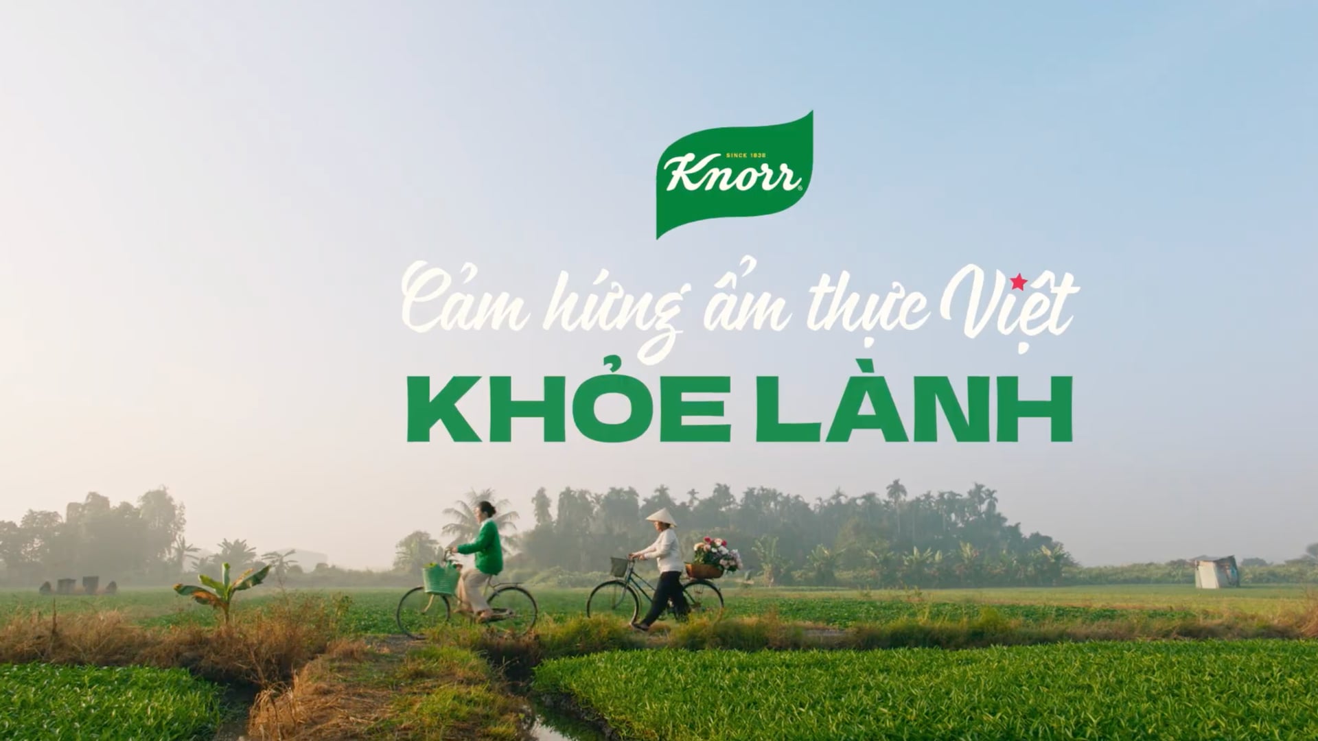 KNORR - AN HOÀ VỊ TẾT AN LÀNH