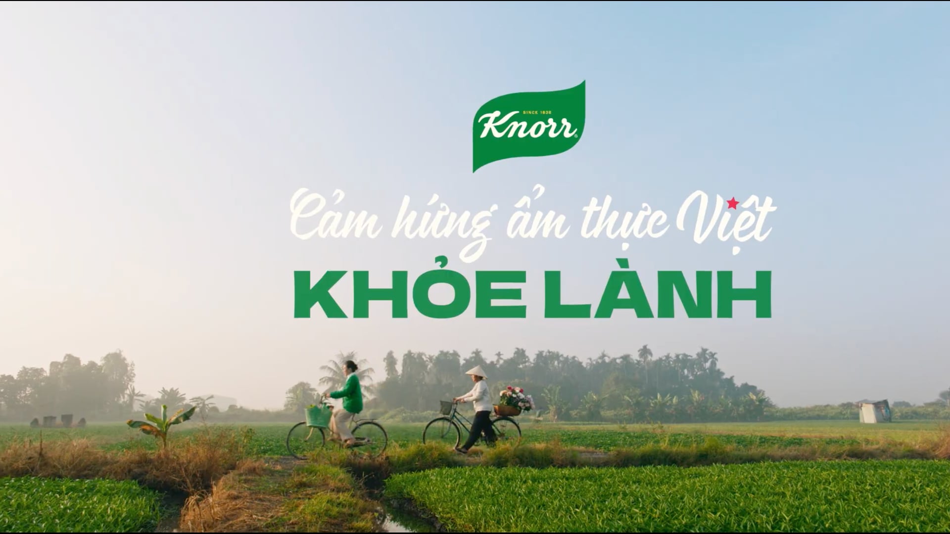 KNORR - AN HOÀ VỊ TẾT AN LÀNH