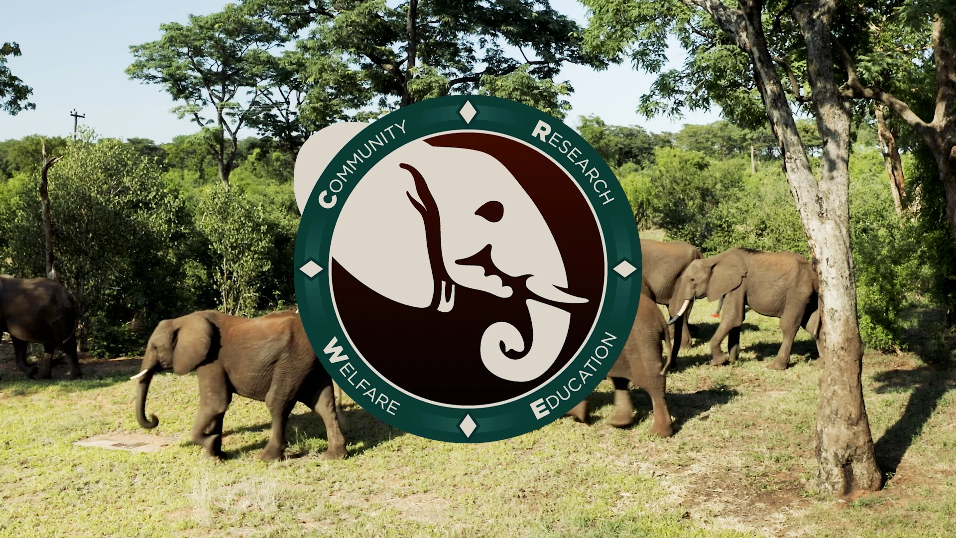 eleCREW Website Movie.mp4