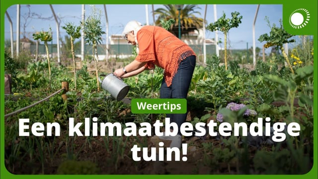 Weer Ommen - Meerdaagse Weersverwachting Ommen | Weeronline