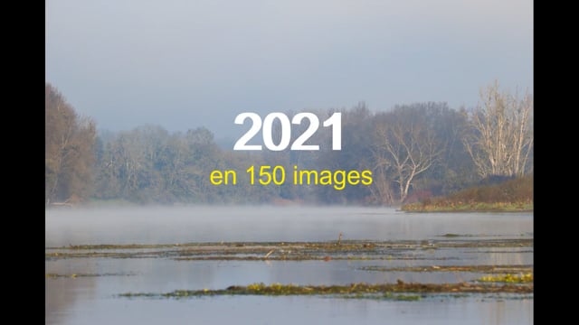 Retrospective 2021
