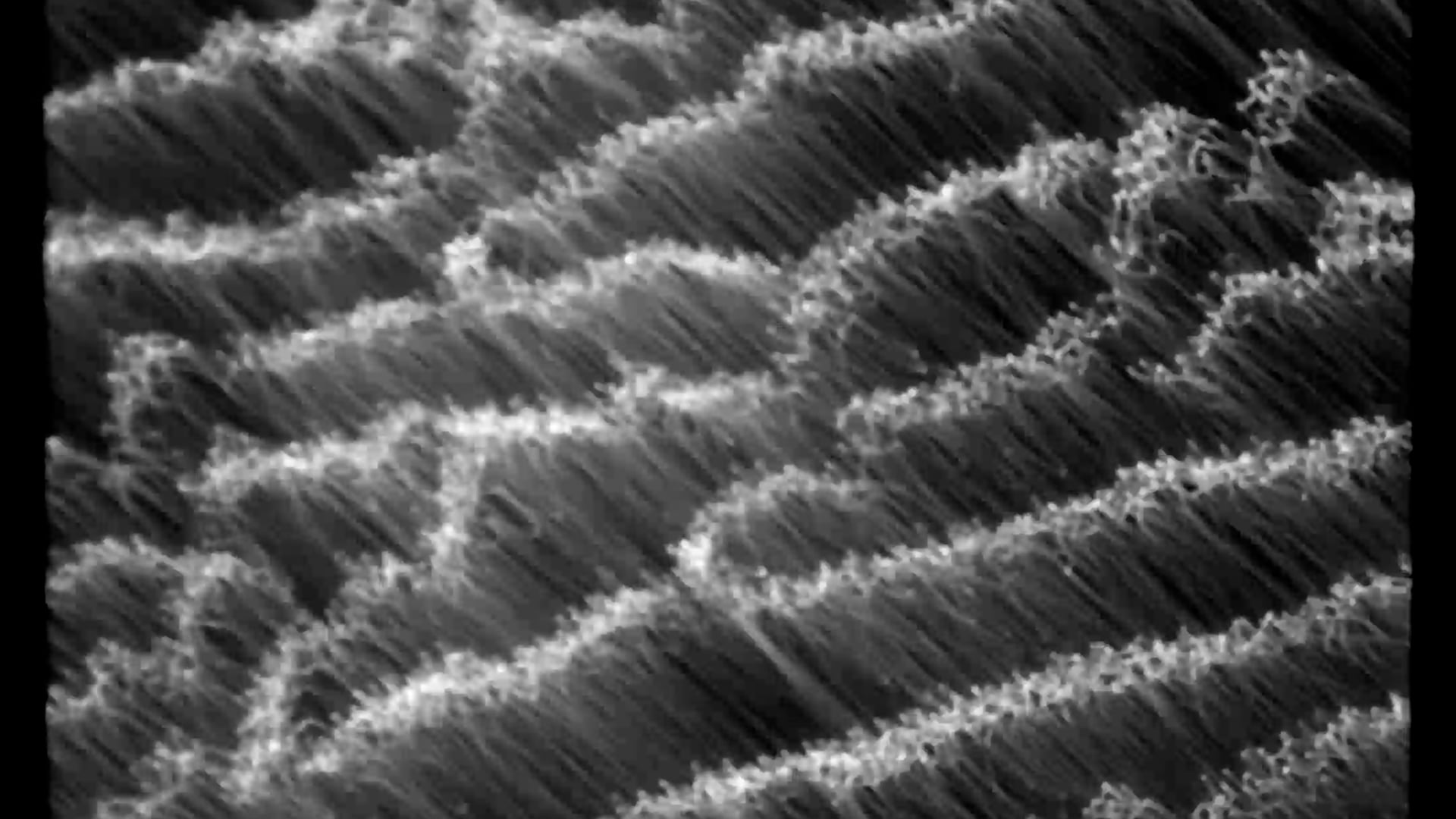 Auld Lang Syne: Spectral Mesh 30ips, 2022