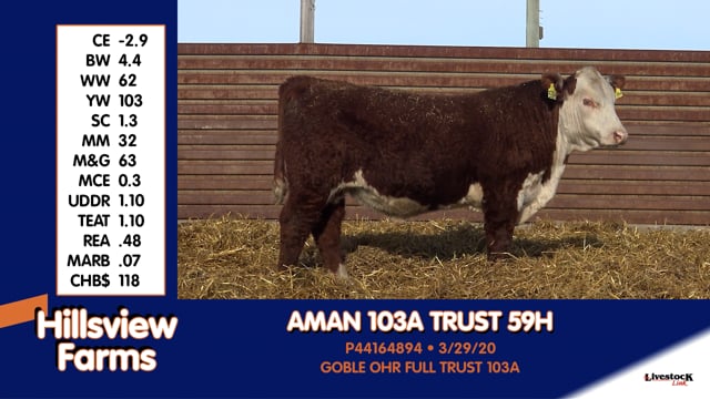Lot #59H - AMAN 103A TRUST 59H