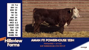 Lot #153H - AMAN F11 POWERHOSUE 153H