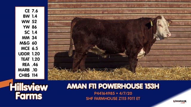 Lot #153H - AMAN F11 POWERHOSUE 153H