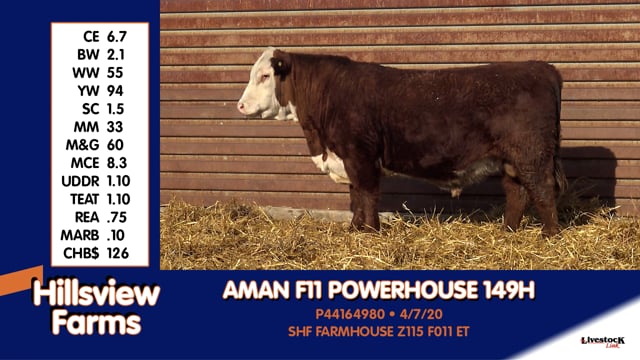 Lot #149H - AMAN F11 POWERHOUSE 149H