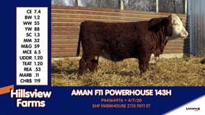 Lot #143H - AMAN F11 POWERHOUSE 143H