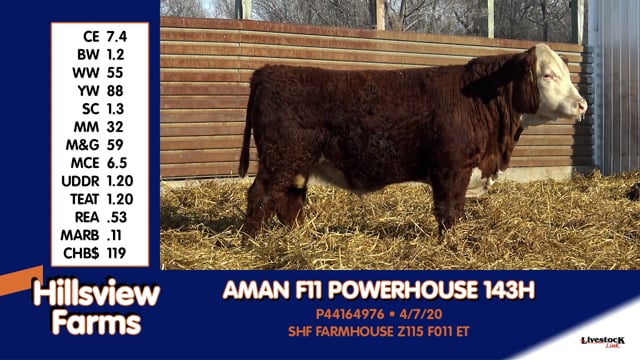 Lot #143H - AMAN F11 POWERHOUSE 143H