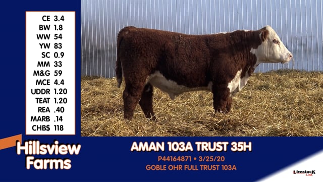 Lot #35H - AMAN 103A TRUST 35H
