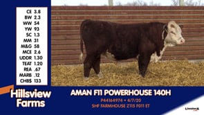 Lot #140H - AMAN F11 POWERHOUSE 140H