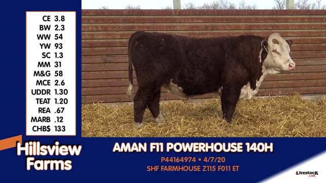 Lot #140H - AMAN F11 POWERHOUSE 140H