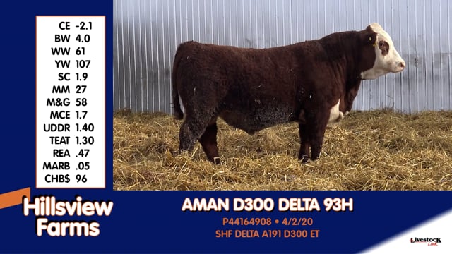Lot #93H - AMAN D300 DELTA 93H