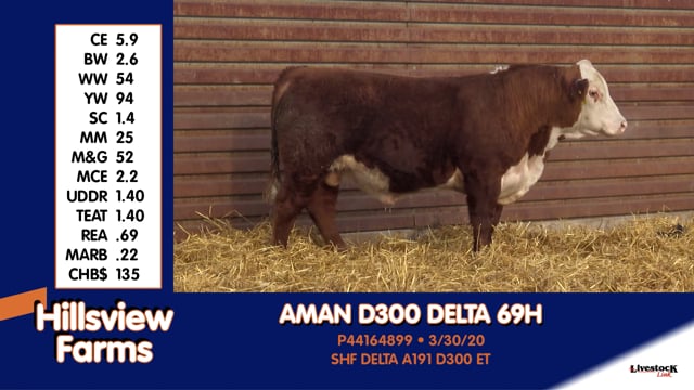 Lot #69H - AMAN D300 DELTA 69H