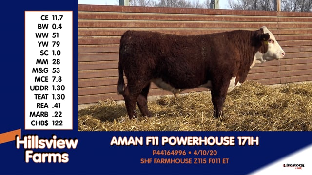 Lot #171H - AMAN F11 POWERHOUSE 171H