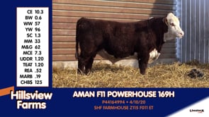 Lot #169H - AMAN F11 POWERHOUSE 169H