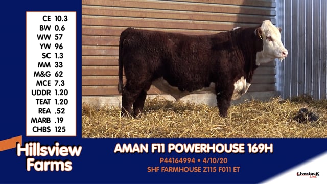 Lot #169H - AMAN F11 POWERHOUSE 169H