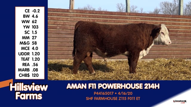 Lot #214H - AMAN F11 POWERHOUSE 214H