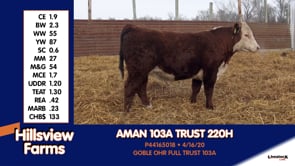 Lot #220H - AMAN 103A TRUST 220H