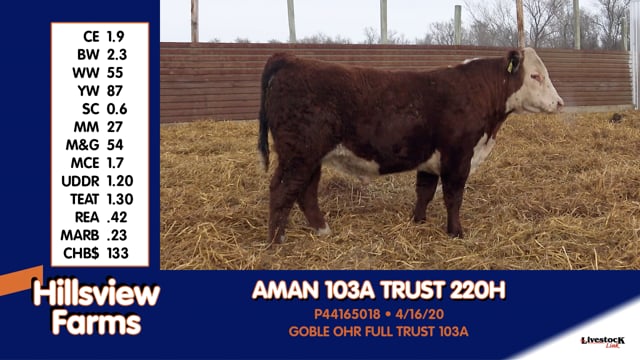 Lot #220H - AMAN 103A TRUST 220H