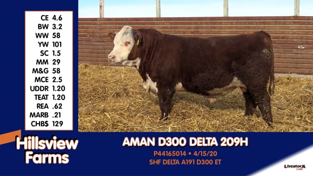 Lot #209H - AMAN D300 DELTA 209H