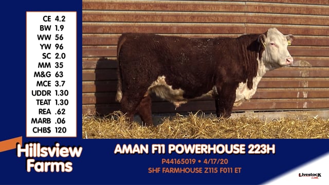 Lot #223H - AMAN F11 POWERHOUSE 223H