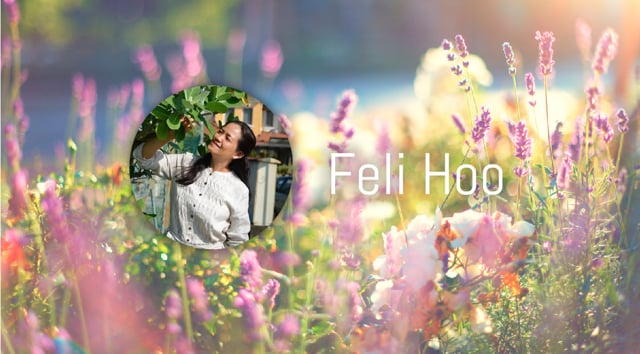 Feli Hoo – Good Night‘s Sleep for good Immunity with Aromatherapy & Ayurveda