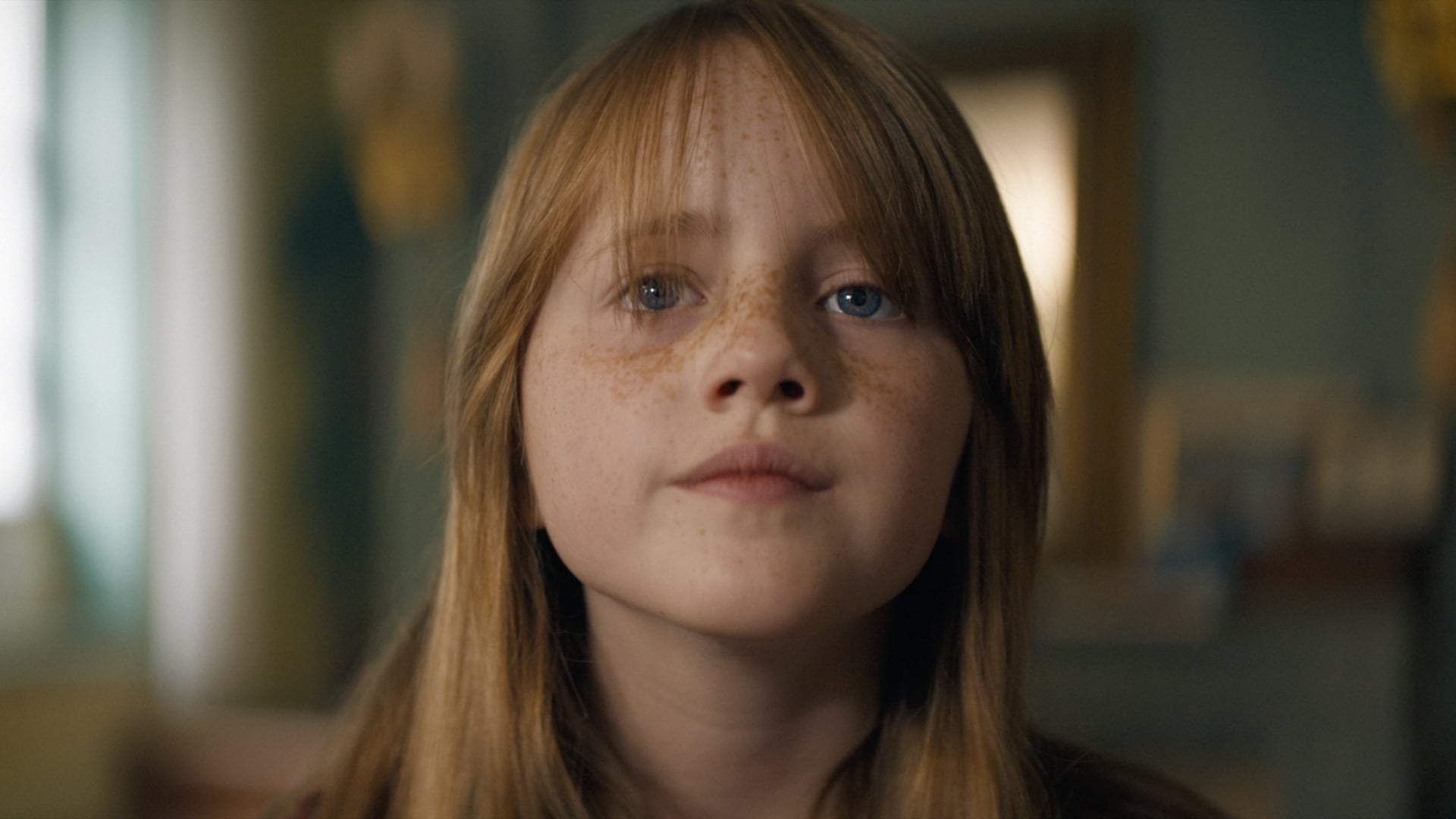 AXA Insurance  - Birders