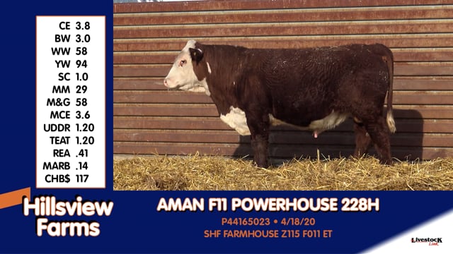Lot #228H - AMAN F11 POWERHOUSE 228H