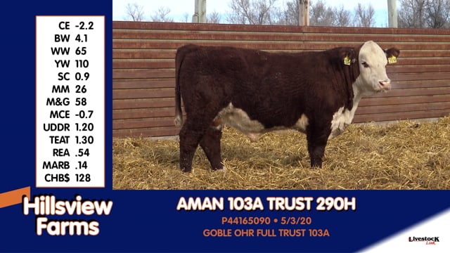 Lot #290H - AMAN 103A TURST 290H