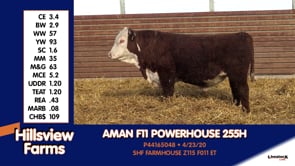 Lot #255H - AMAN F11 POWERHOUSE 255H