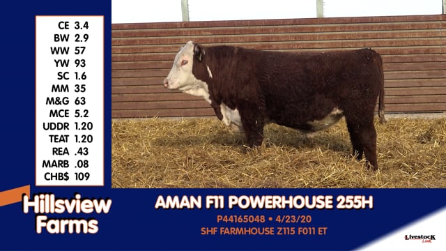 Lot #255H - AMAN F11 POWERHOUSE 255H