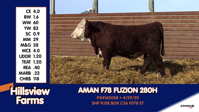 Lot #280H - AMAN F78 FUZION 280H