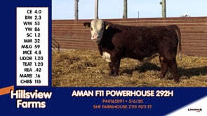 Lot #292H - AMAN F11 POWERHOUSE 292H