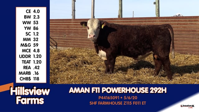 Lot #292H - AMAN F11 POWERHOUSE 292H