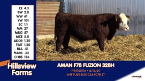 Lot #328H - AMAN F78 FUZION 328H