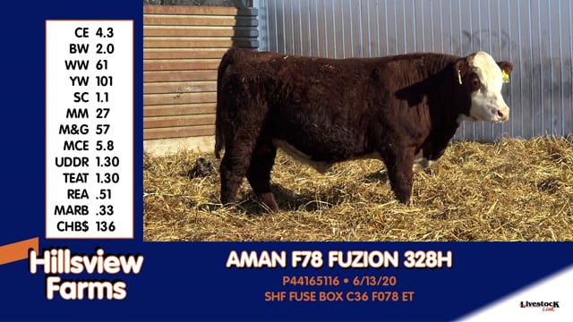 Lot #328H - AMAN F78 FUZION 328H