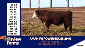 Lot #314H - AMAN F11 POWERHOUSE 314H