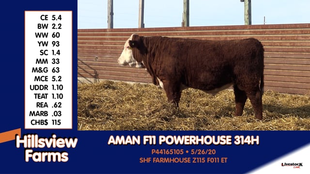 Lot #314H - AMAN F11 POWERHOUSE 314H