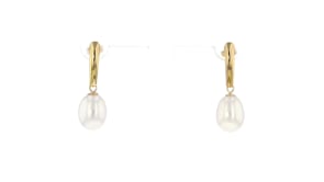 8.5-9mm Cultured Pearl Drop Earrings in 14kt Yellow Gold