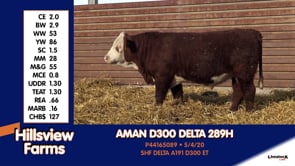 Lot #289H - AMAN D300 DELTA 289H