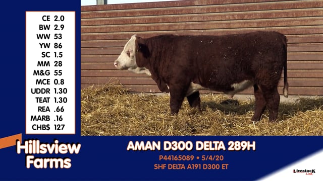 Lot #289H - AMAN D300 DELTA 289H