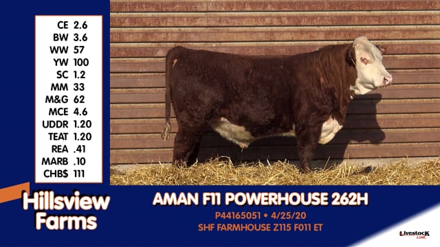 Lot #262H - AMAN F11 POWERHOUSE 262H