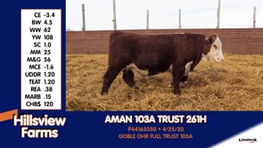 Lot #261H - AMAN 103A TRUST 261H